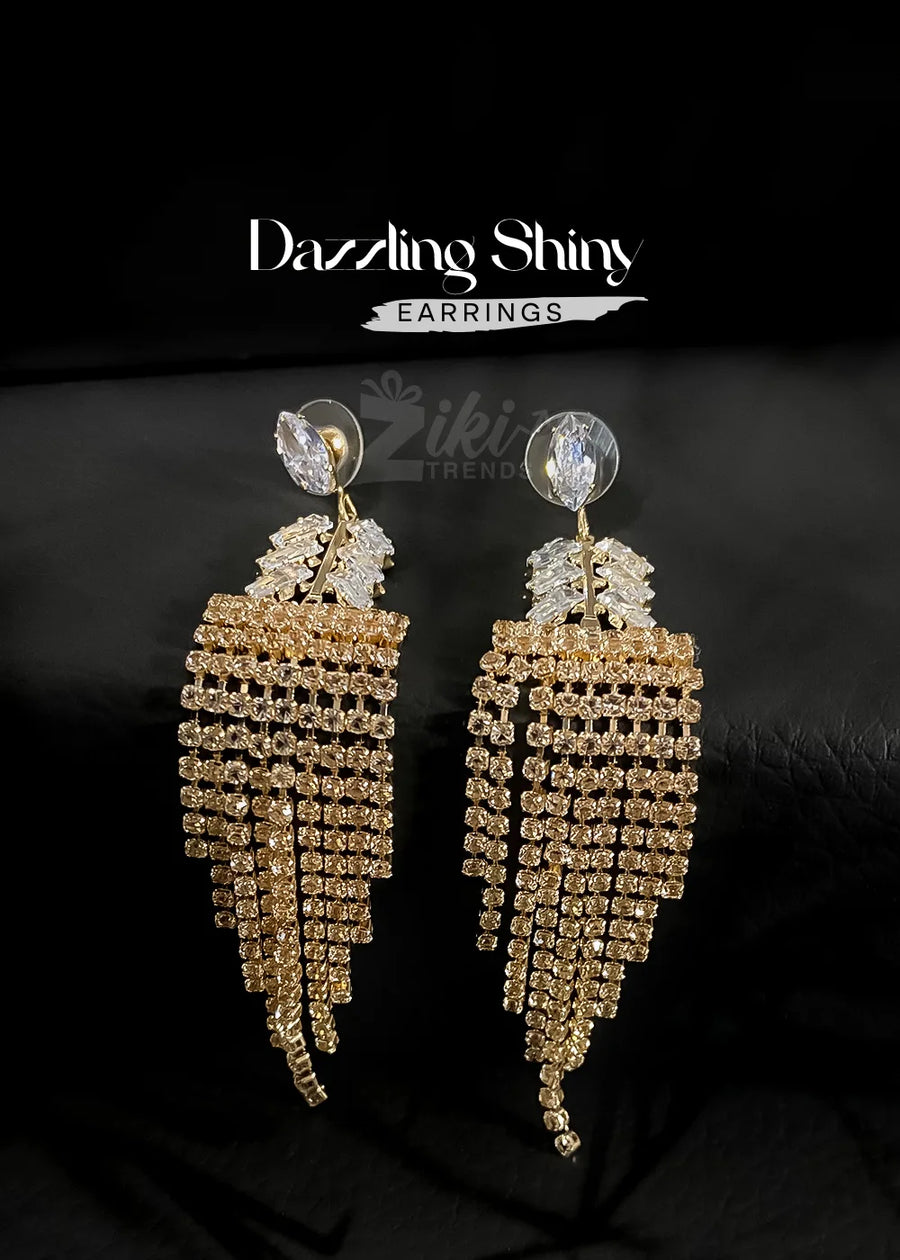 Dazzling Shiny Earrings